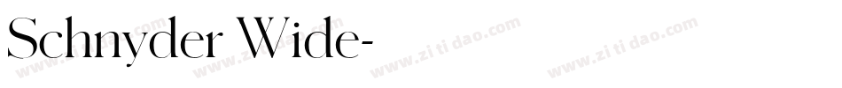 Schnyder Wide字体转换